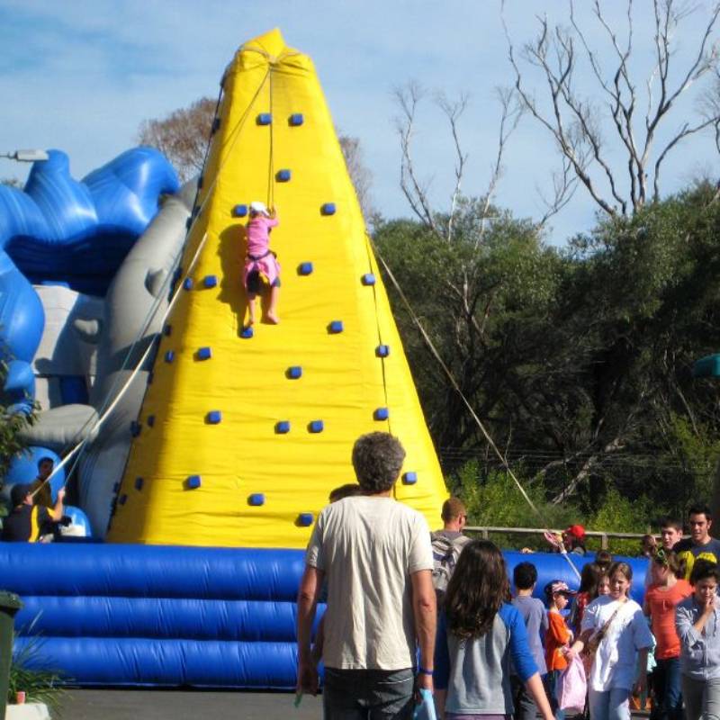 Inflatable Rock Climbing Wall